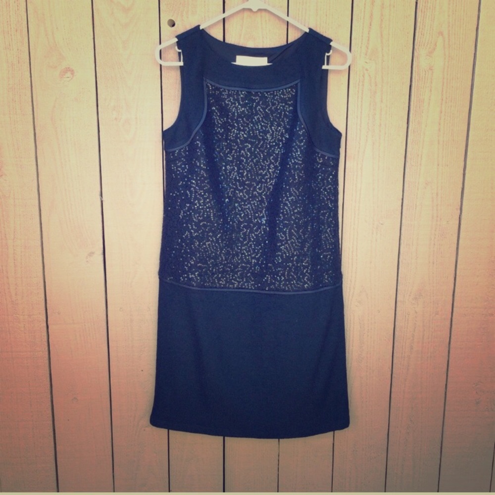 NWT Loft Sequin Dress